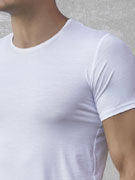 футболка мужская Doreanse Premium, арт. Doreanse 2566