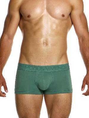 Трусы-боксеры мужские Modus Vivendi 13422 цвета хаки