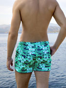 шорты пляжные мужские Doreanse 3837 с цветным принтом