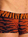 трусы-хипсы мужские Doreanse Bengal Tiger 1820