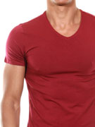 футболка мужская Doreanse Cotton Stretch, арт. Doreanse 2800