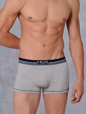 трусы-боксеры мужские HOM Bicolor, арт. HOM 02184 серые
