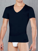 Футболка мужская Doreanse Cotton Premium 2530