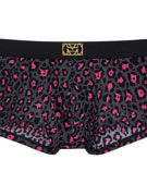 трусы-хипсы мужские HOM Dionysos, арт. HOM 40-2150