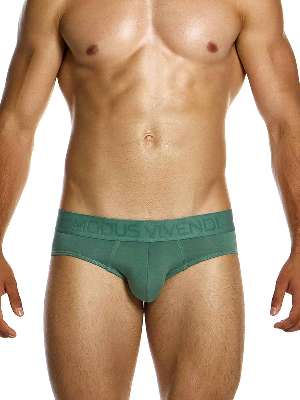 Трусы-брифы мужские Modus Vivendi 13415 цвета хаки