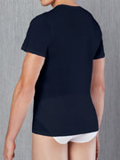 Футболка мужская Doreanse Cotton Premium 2530