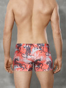 трусы-боксеры мужские Doreanse Exotic Tiger, арт. Doreanse 1709