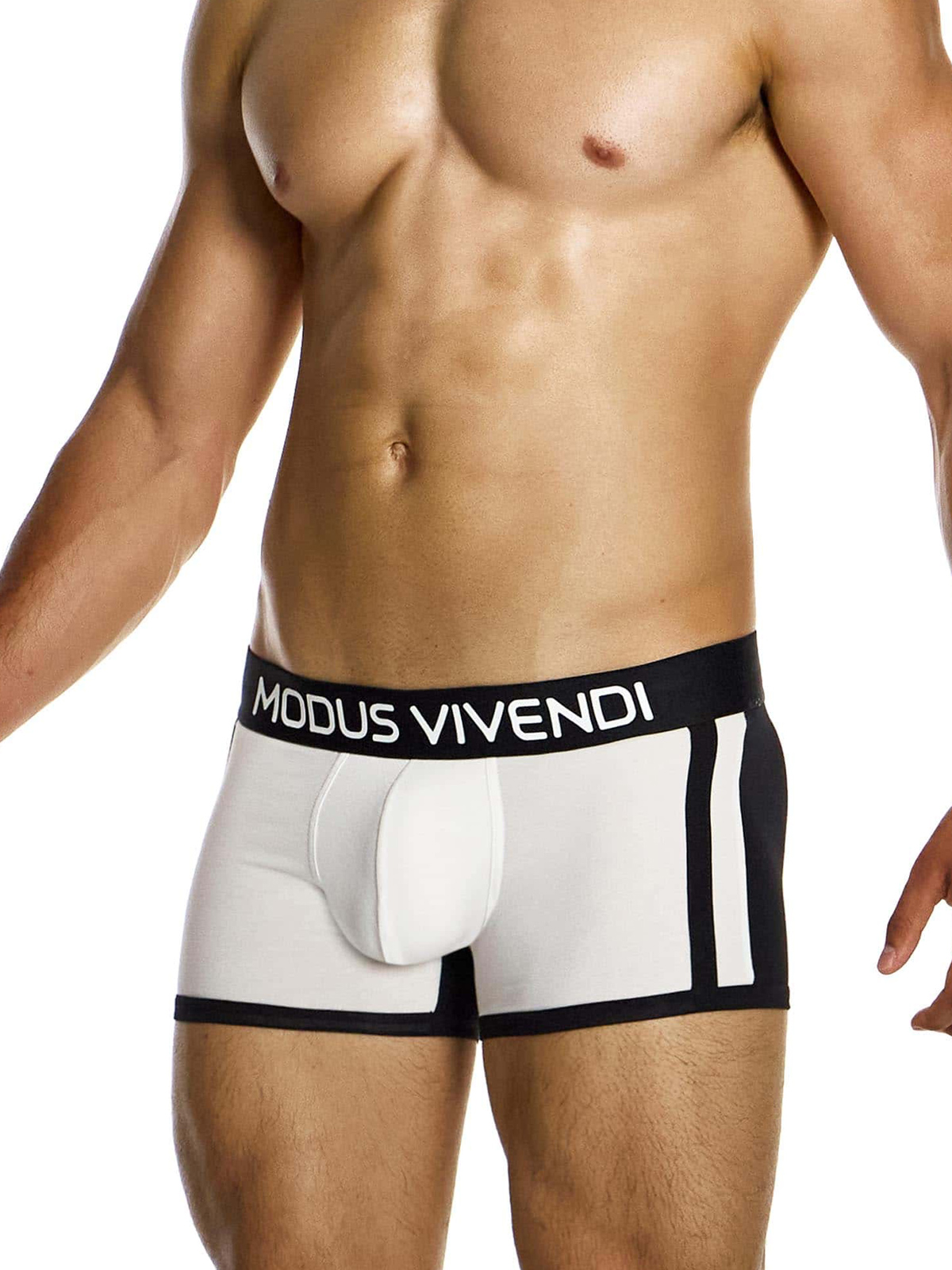 Трусы-боксеры мужские Modus Vivendi 12423 чёрно-белые