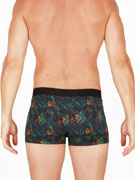 трусы-боксеры мужские HOM Dark Botanic, арт. HOM 40-1746