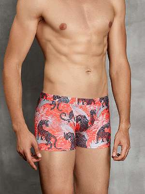 трусы-боксеры мужские Doreanse Exotic Tiger, арт. Doreanse 1709