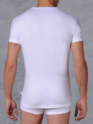футболка мужская HOM First Cotton 03256
