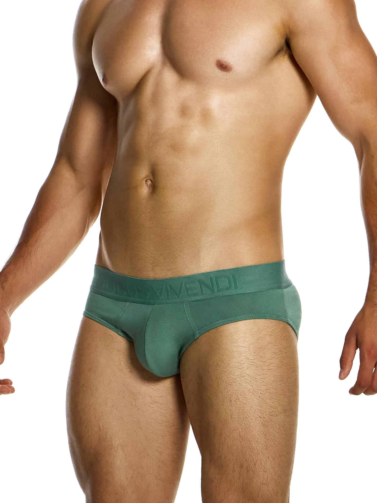 Трусы-брифы мужские Modus Vivendi 13415 цвета хаки