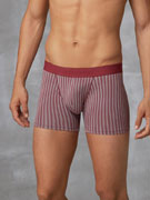 трусы-боксеры мужские Doreanse Stripes, арт. Doreanse 1866