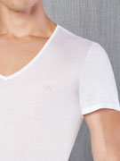 Футболка мужская Doreanse Cotton Premium 2530