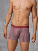 трусы-боксеры мужские Doreanse Stripes, арт. Doreanse 1866