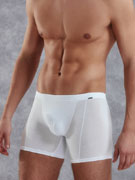 трусы-боксеры мужские Doreanse 1510 белые