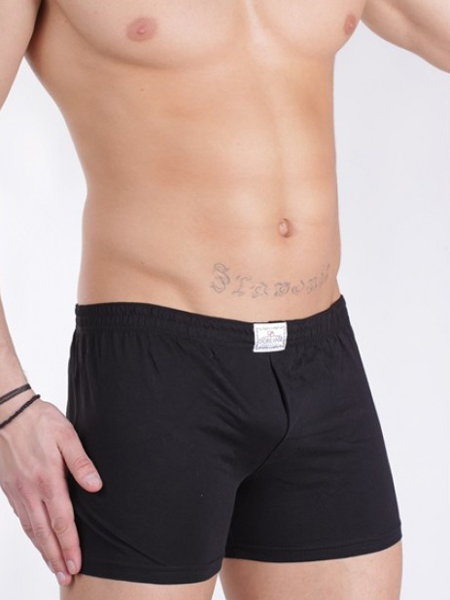 трусы-боксеры мужские Doreanse Cotton Basic 1509