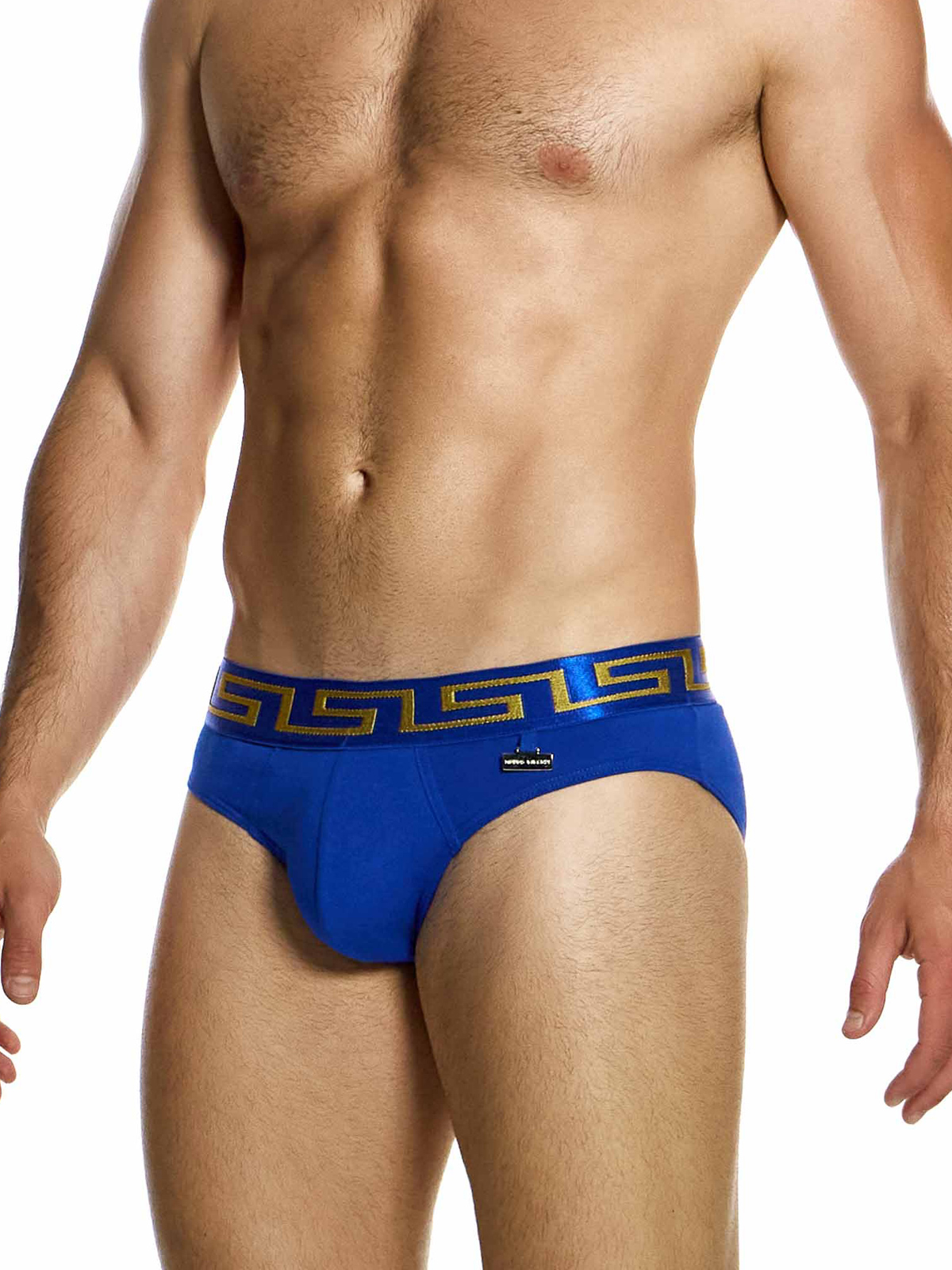 Трусы-брифы мужские Modus Vivendi 11613 синие