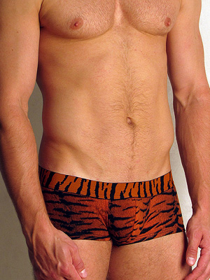 трусы-хипсы мужские Doreanse Bengal Tiger 1820