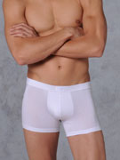трусы-боксеры мужские HOM Soft Silk 01668