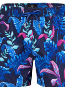 шорты пляжные мужские Doreanse 3819 синие с принтом
