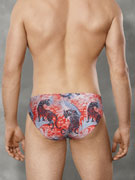 трусы-слипы мужские Doreanse Exotic Tiger, арт. Doreanse 1401