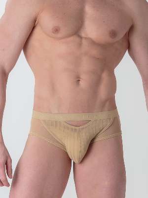 Трусы-брифы мужские WOH 46-3017 бежевые