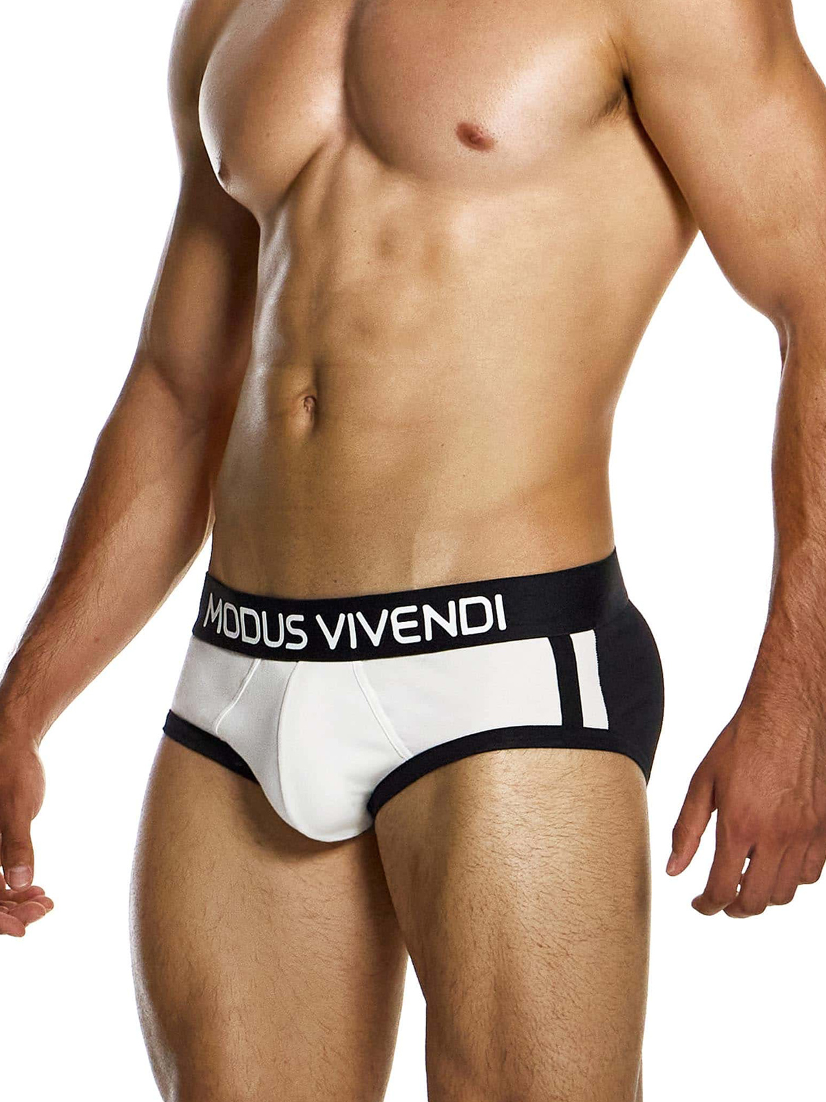 Трусы-брифы мужские Modus Vivendi 12414 чёрно-белые